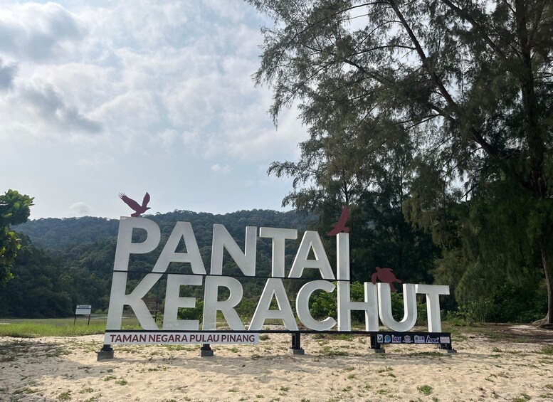 Picture 7 for Activity Hike or Boat Trip: Penang National Park & Garden Pick 5