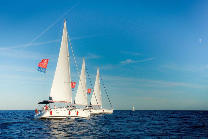 Three sailboats on the ocean with flags. 3