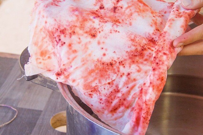 A person holding a container with a pink and white mixture, possibly a food item. 2
