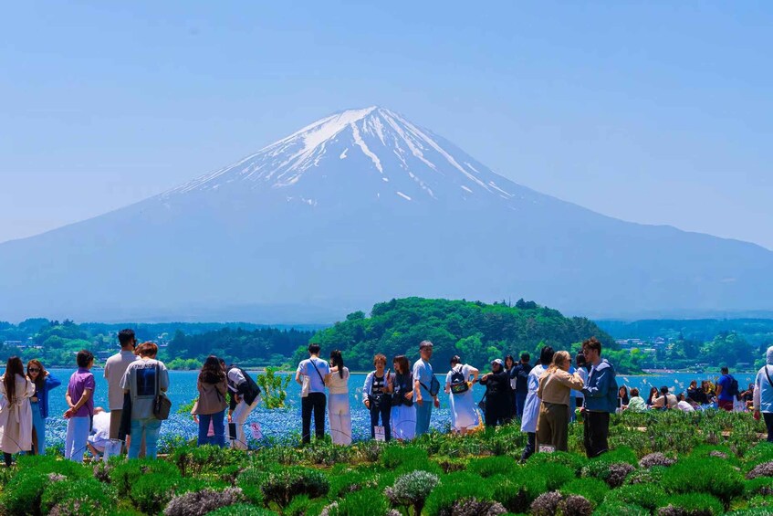 A crowd of people standing in a field with a mountain in the background. 5