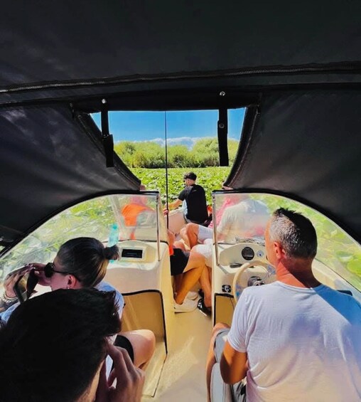 A vehicle with passengers observing a landscape through a transparent side. 1