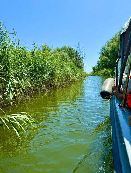 Tulcea: Danube Delta Experience: Nature & Wildlife Tour 2