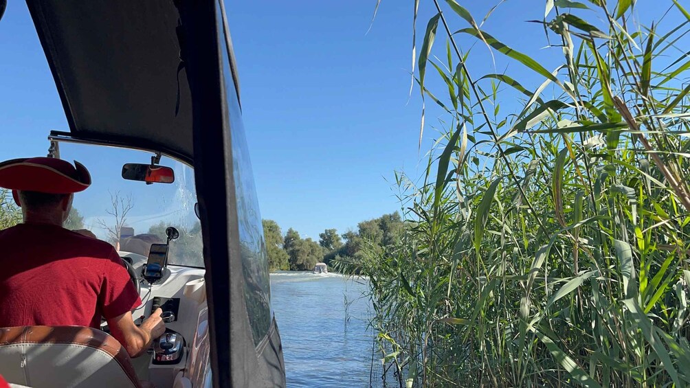 Picture 2 for Activity Tulcea: Danube Delta Authentic Boat Tour to Mila 23 village 2