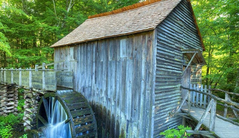 A rustic wooden structure with a water wheel, surrounded by lush greenery and a wooden fence. 4