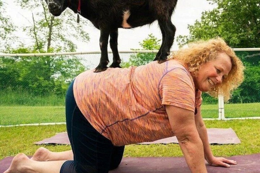 A person performing a yoga pose on a mat outdoors with a dog standing behind them. 2