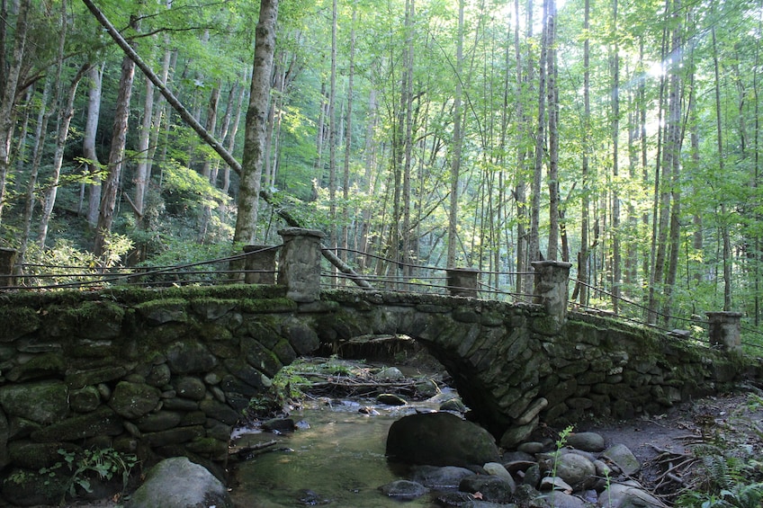 A stone bridge over a stream in a forest. 2