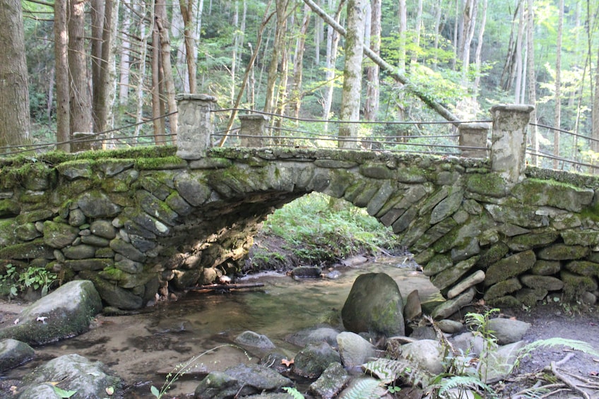A stone bridge over a stream in a forest. 5