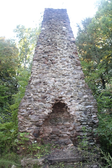 A tall, weathered stone structure surrounded by dense foliage. 1