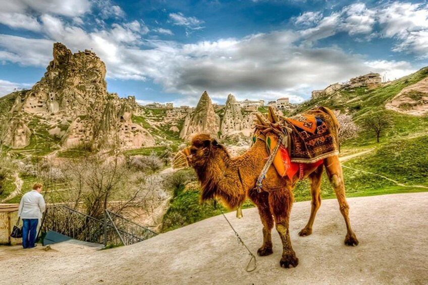 Turkey Tours: Pamukkale, Ephesus, Bodrum, Cappadocia & Camel Ride 5