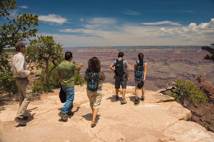 A group of hikers on a rocky outcrop overlooking a vast canyon. 4