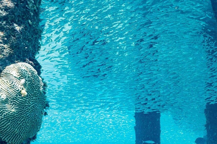 An underwater scene with a large rock formation and a school of fish swimming above. 4