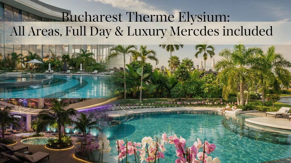 Picture 2 for Activity Bucharest Therme Elysium: All Areas, Full Day & Luxury Van 2