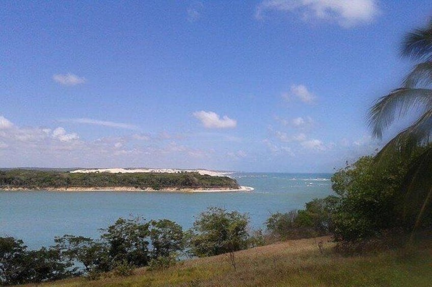 Paesaggio costiero con spiaggia sabbiosa, una piccola isola e cielo azzurro limpido. 5