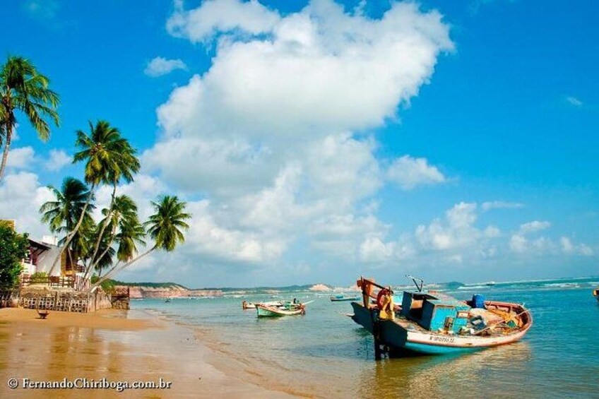 Pipa Beach - round trip tour departing from Natal 3