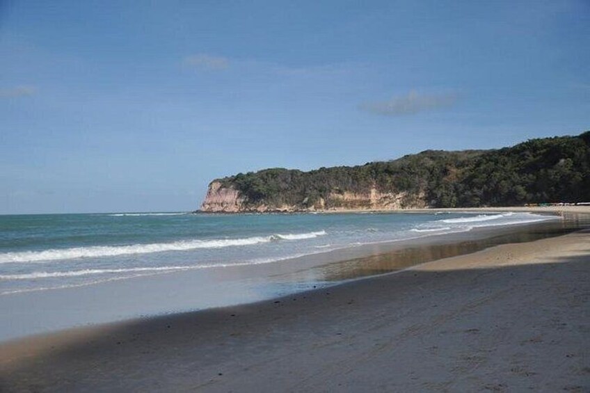 Pipa Beach - round trip tour departing from Natal 2