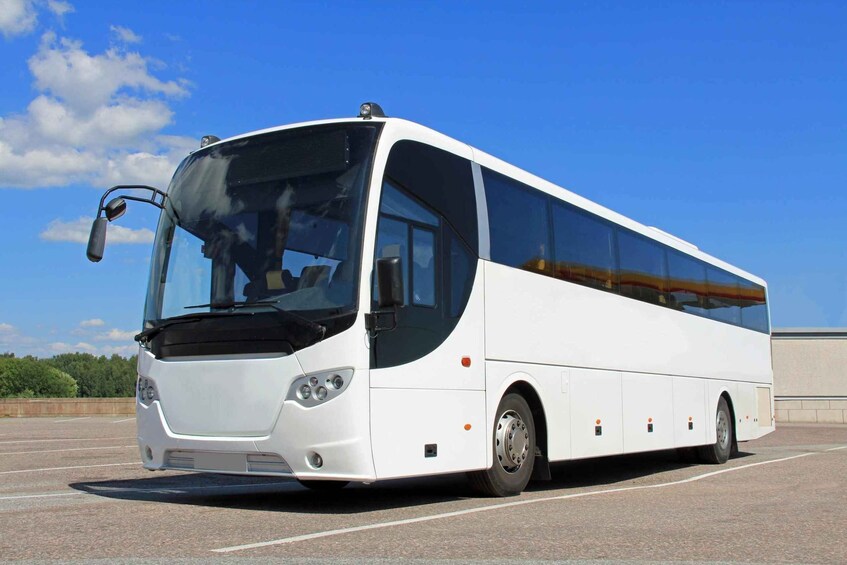 A white bus parked in a lot with a clear blue sky and greenery in the background. 1