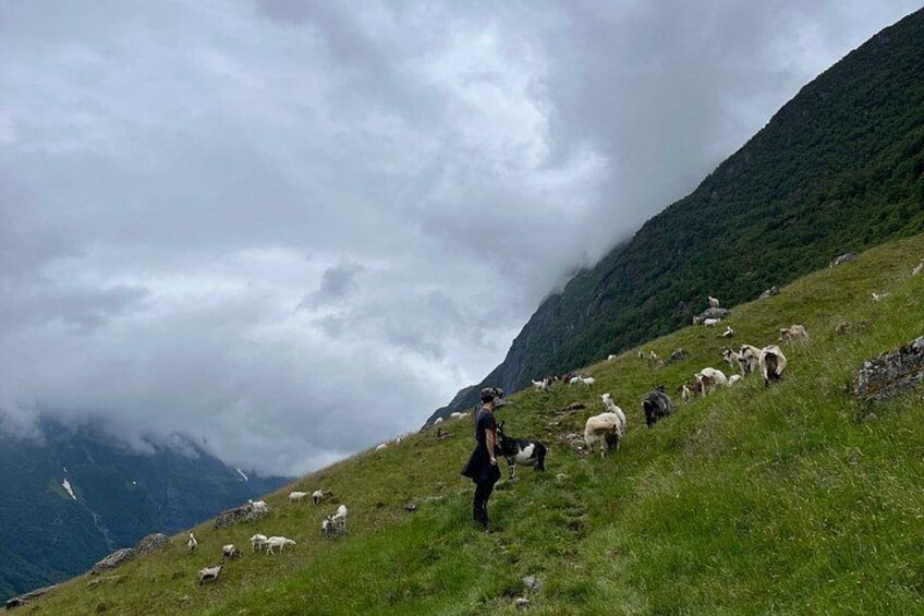 Olden: Scenic glacier and Waterfall Tour with Snacks 4