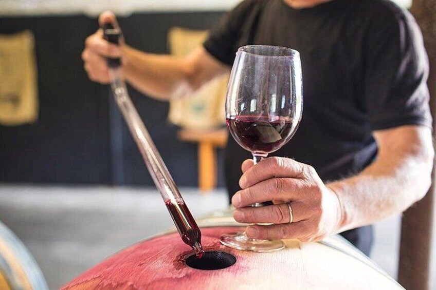 A person pouring red wine from a bottle into a glass. 3