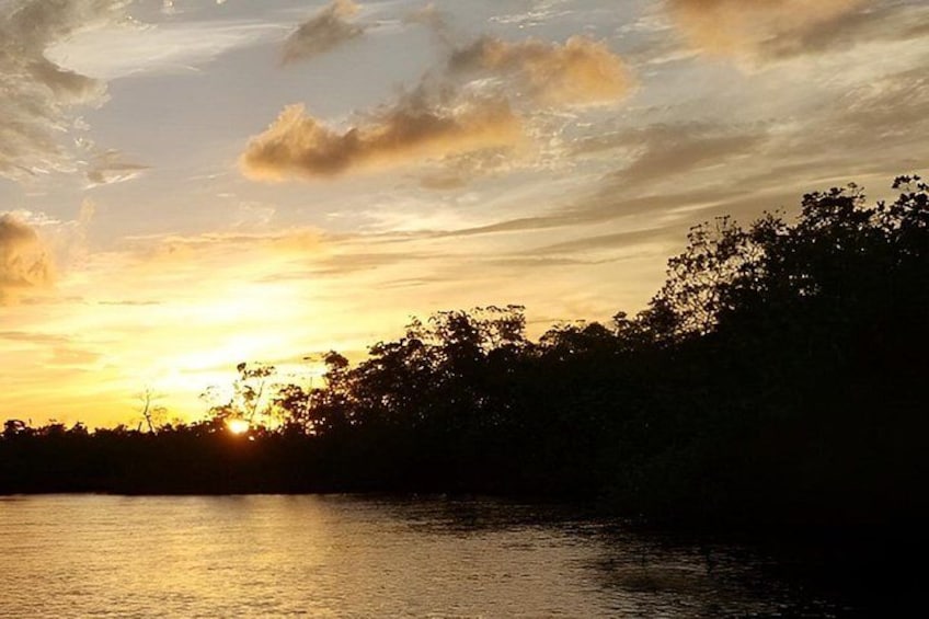 Atardecer sobre una masa de agua con árboles silueteados y un cielo nublado. 4