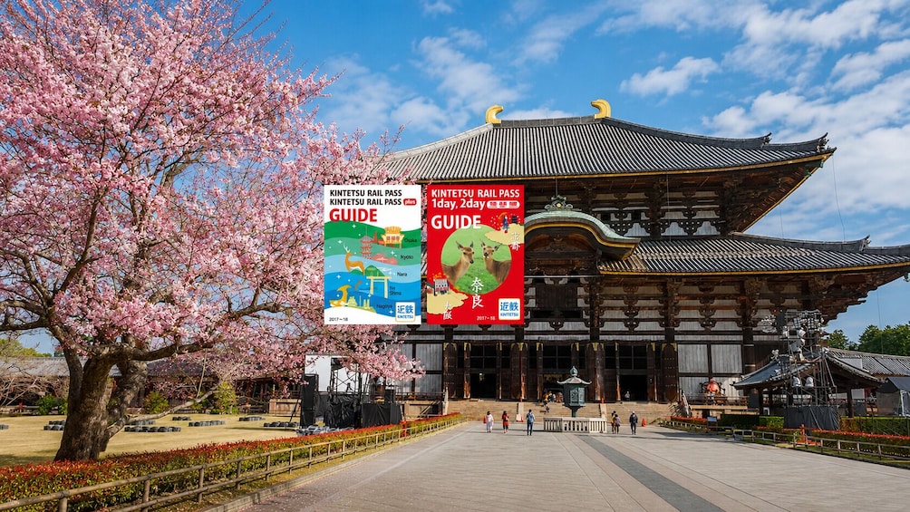 Kansai, Japan: KINTETSU Rail Pass 1 / 2 / 5-Day Standard + PLUS Version 1