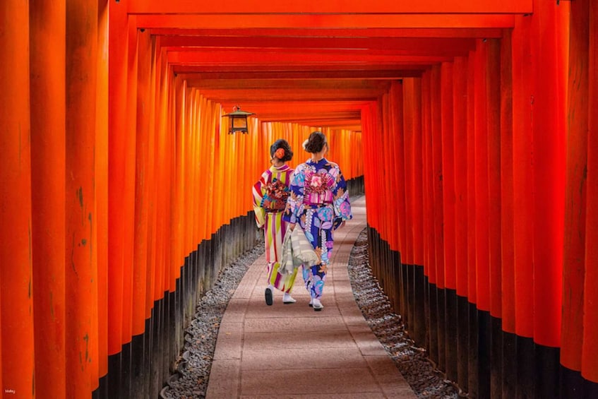 Kansai, Japan: KINTETSU Rail Pass 1 / 2 / 5-Day Standard + PLUS Version 3
