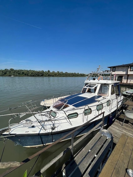 Picture 55 for Activity Belgrade: PRIVATE Luxury Boat Cruise on 2 Rivers 4