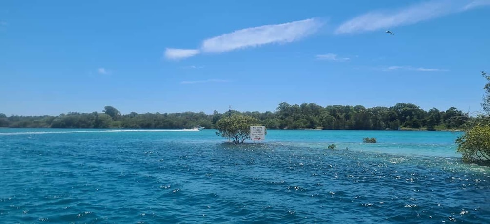 Picture 5 for Activity Tweed River: Self-Operated BBQ Pontoon Boat Rental 4