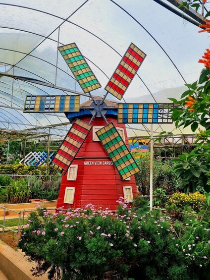 Picture 6 for Activity Penang: Cameron Highlands Day Tour 5
