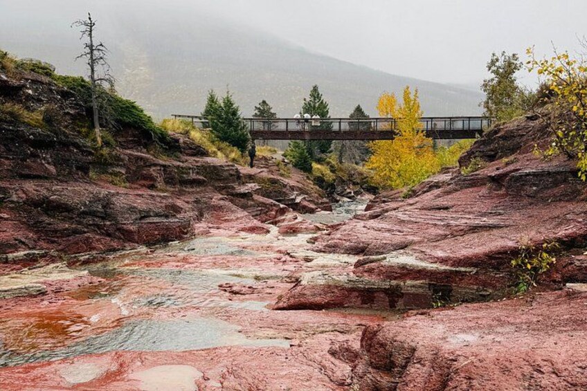 Waterton National Park Day Tour from Calgary 3