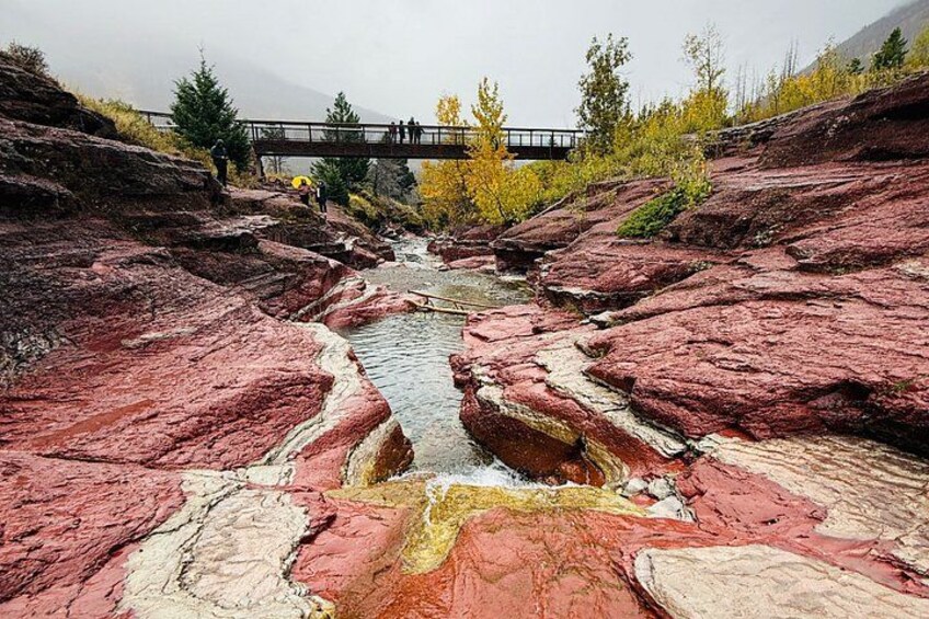 Waterton National Park Day Tour from Calgary 4