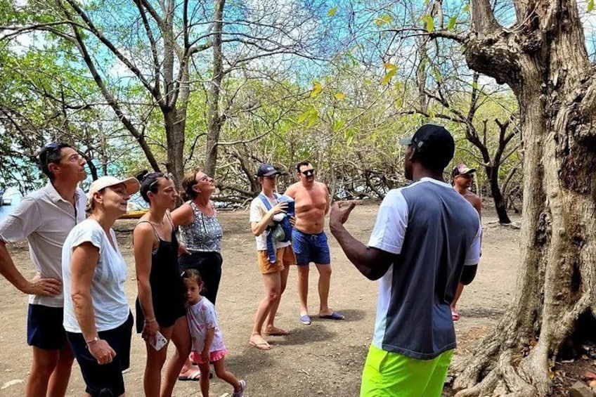 A group of people gathered outdoors, some standing and some walking, with trees and a clear sky in the background. 3