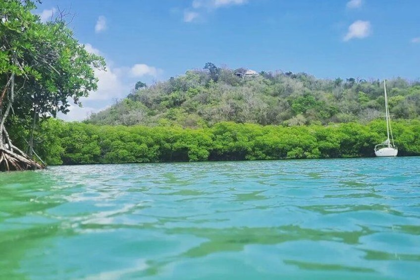 A clear turquoise sea, a small sailboat, and dense green vegetation on a hillside. 1