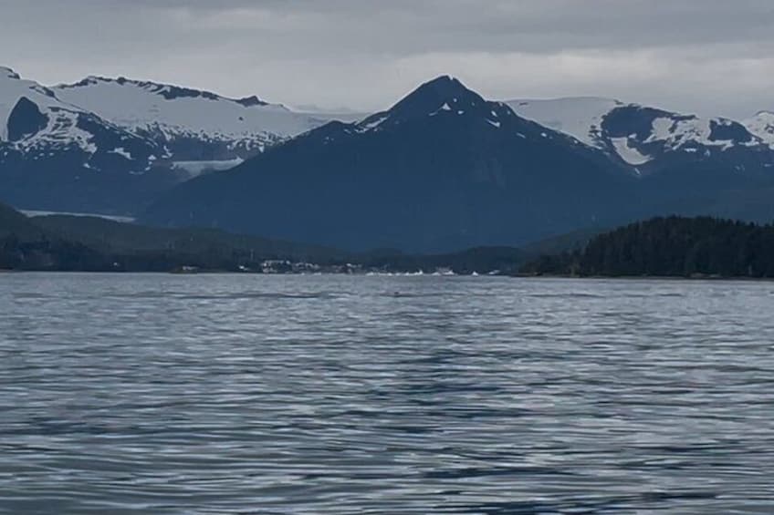 Whale Watching with a Peek at the Mendenhall Glacier 2
