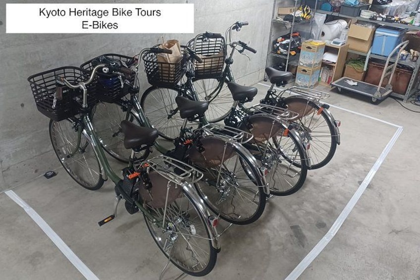 Kyoto E-Bike Tour of Palace, Castle, Temples and Hidden Gems 2