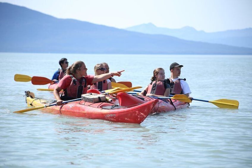 Een groep mensen kajakt op een rustig meer, met bergen op de achtergrond. 4