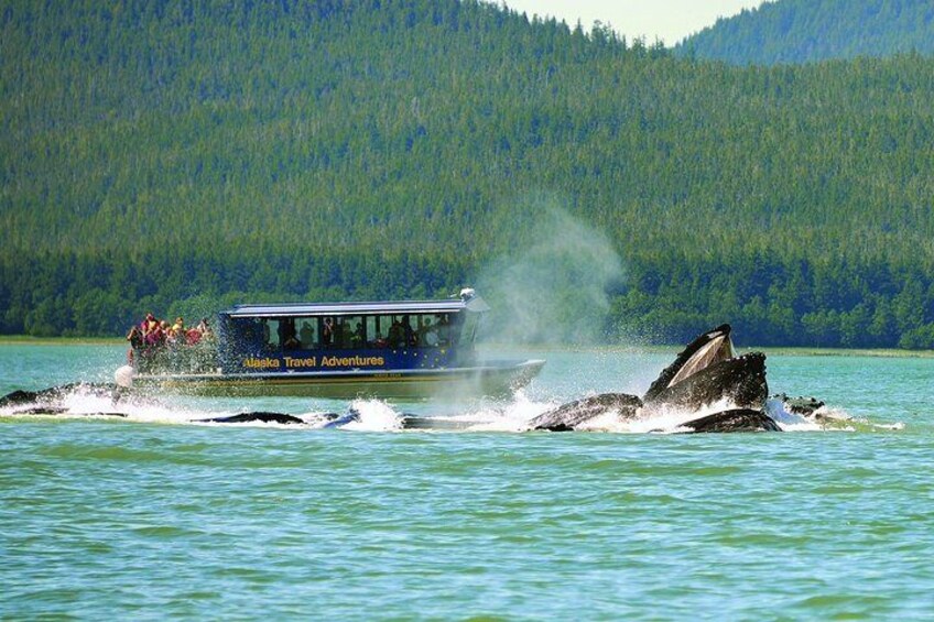 A boat named 'Alaska Travel Adventures' on water with a forested hill in the background. 1