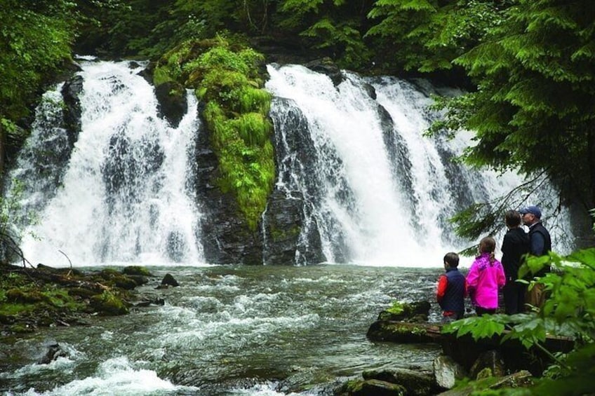 Una cascada con múltiples saltos rodeada de abundante vegetación. 2