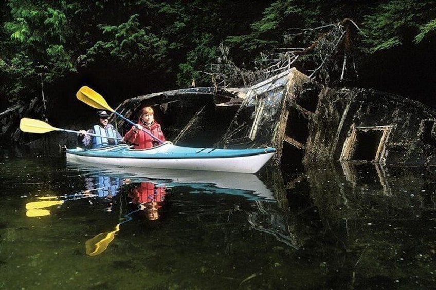 Sitka Boat and Sea Kayaking Adventure 3