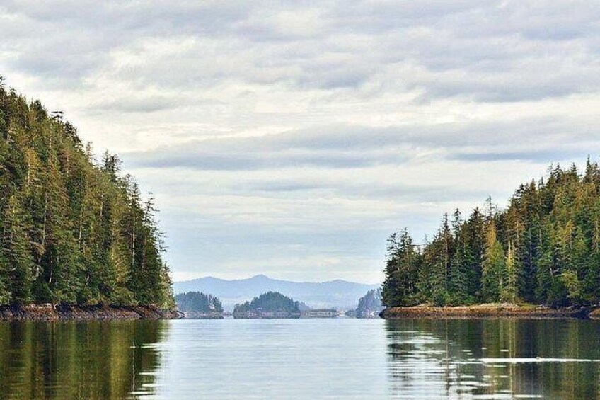 Sitka Boat and Sea Kayaking Adventure 5