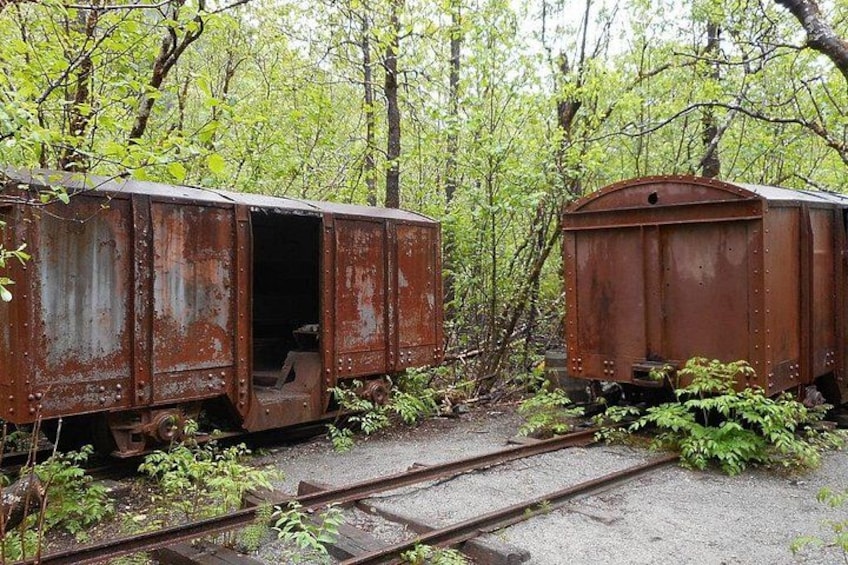 Deux wagons de train rouillés, situés dans une zone boisée où la végétation a proliféré et où se trouvent des voies ferrées. 4
