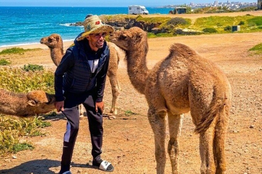 Tarifa to Tangier Day Trip: including Ferry, Camel Ride & Lunch 4