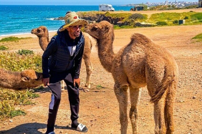 Tarifa to Tangier Day Trip: including Ferry, Camel Ride & Lunch 4