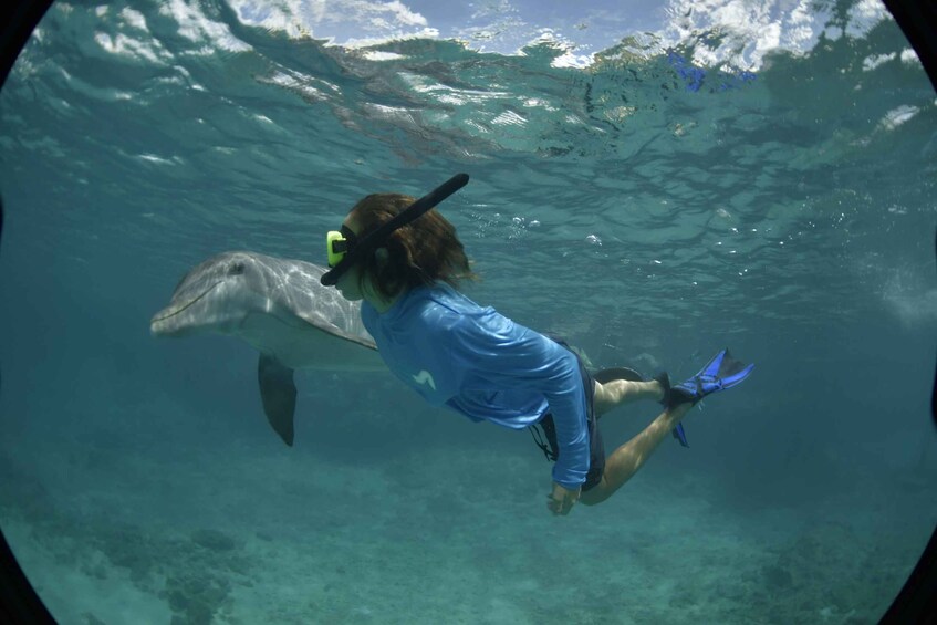 A person snorkeling underwater with a sea turtle. 3