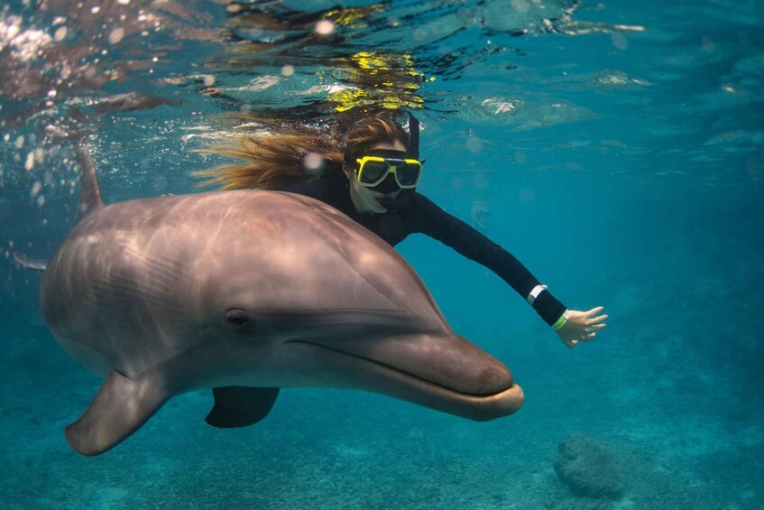 A person snorkeling with a dolphin in clear blue water. 2
