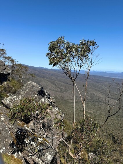A rocky outcrop with sparse vegetation and a clear view of distant mountains. 3