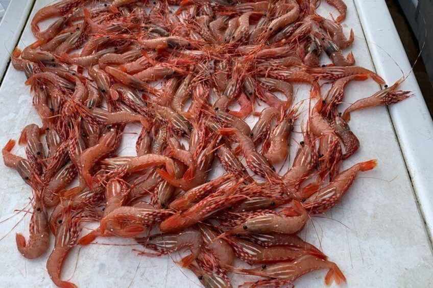 A pile of cooked shrimp on a white surface. 1