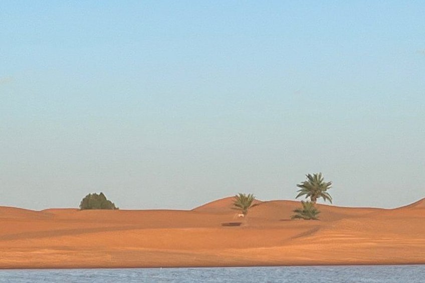 A desert landscape with sand dunes, a small body of water, and sparse vegetation including a palm tree. 4
