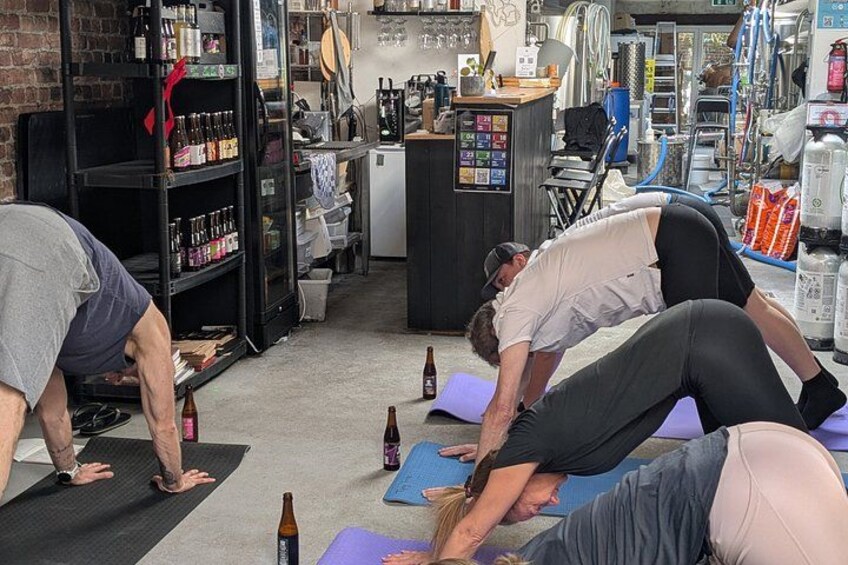 Brussels: Beer Yoga 1 hr Session Led by Experienced Instructor 2