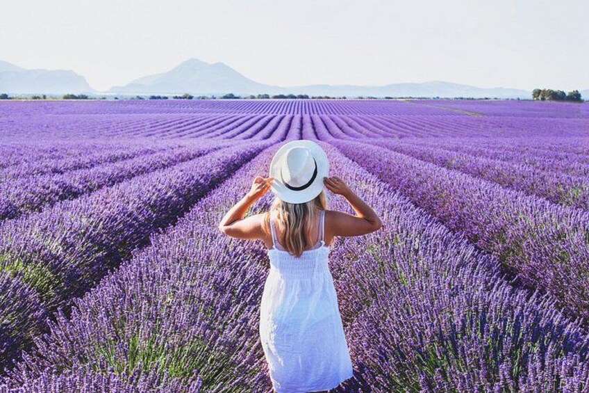 Private Shore Tour:Lavender Fields & Local Flavors from Marseille 1