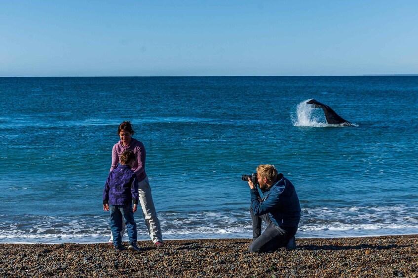 En fotograf fångar ögonblicket när en val bryter ytan och hoppar upp ur havet. 3